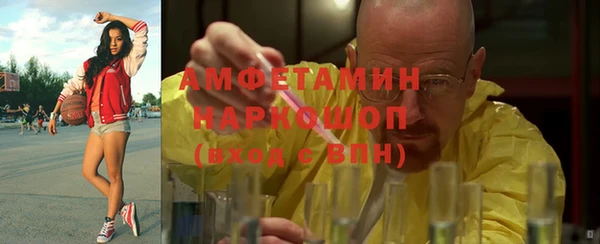 ешки Алексин