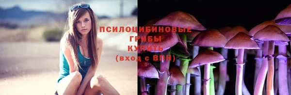 ешки Алексин