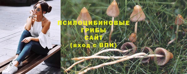 MESCALINE Алзамай
