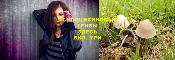 сатива Алексеевка