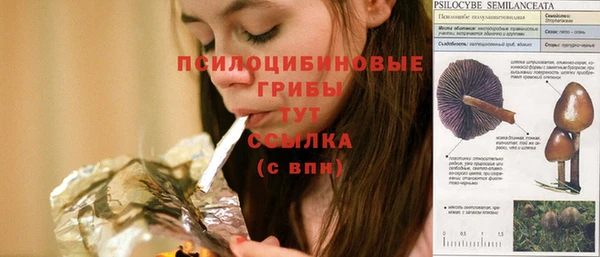ешки Алексин