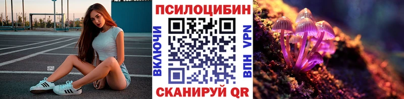 где найти   Миньяр  Псилоцибиновые грибы Psilocybine cubensis 